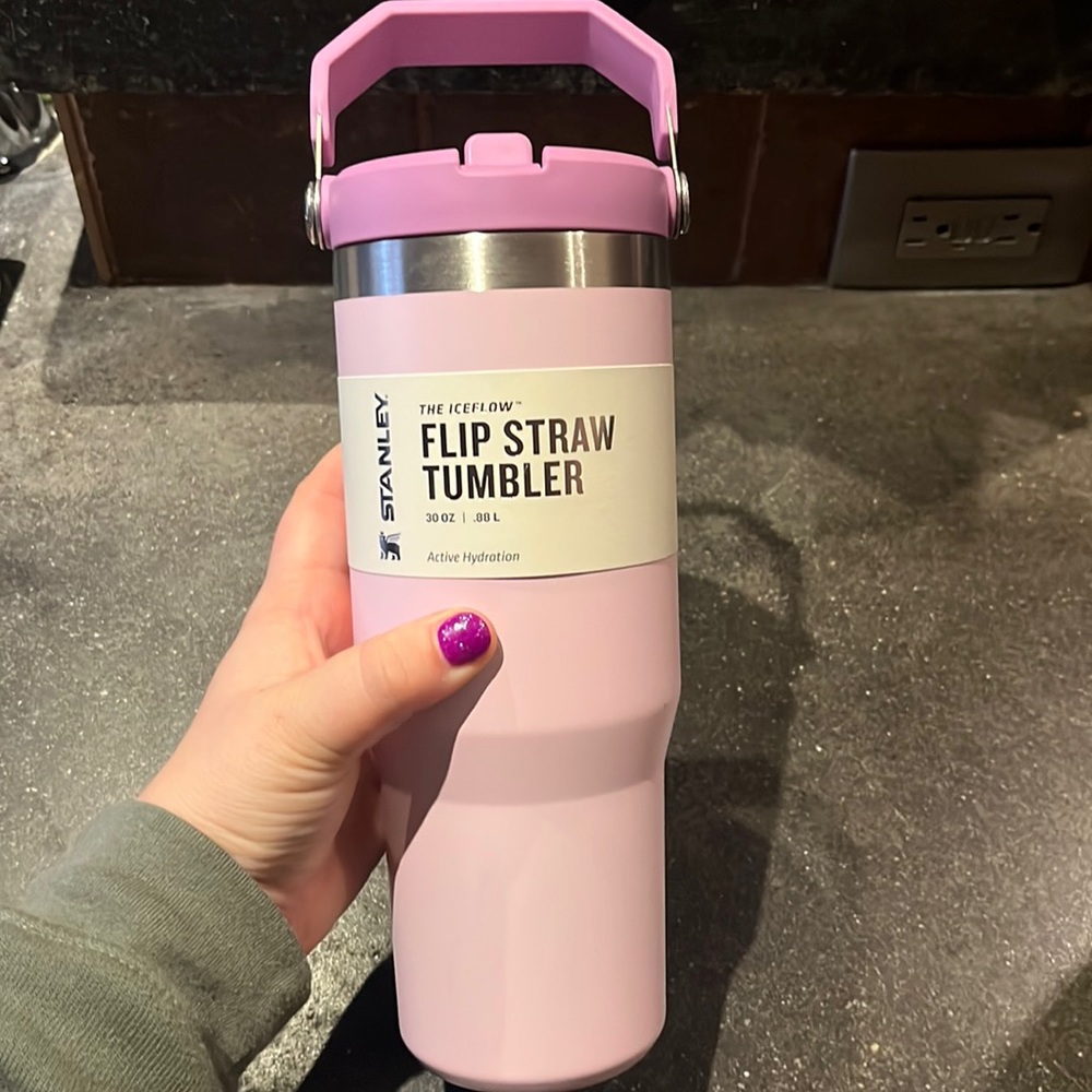 NWT Stanley Flip Straw Tumblr!!
